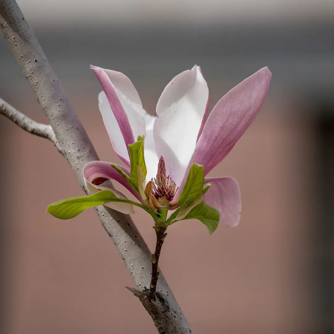 1679033397816920.jpg 微信图片_20230317104536.jpg