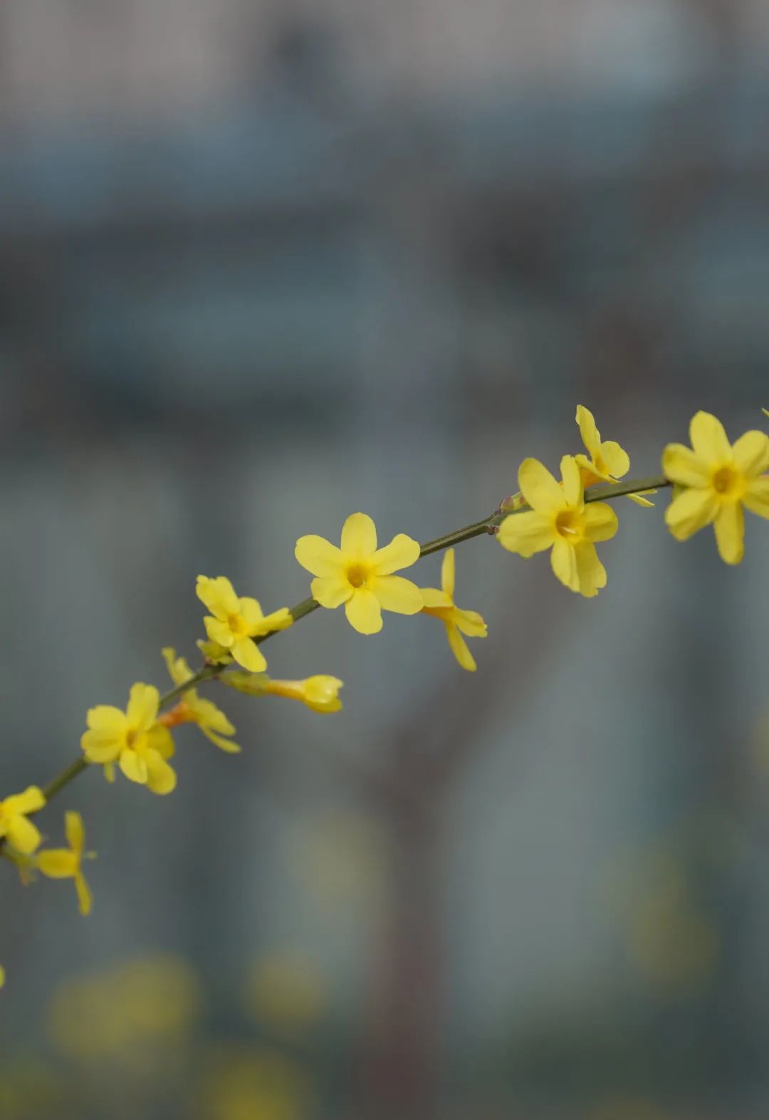 1679370109566925.jpg 微信图片_20230321114133.jpg