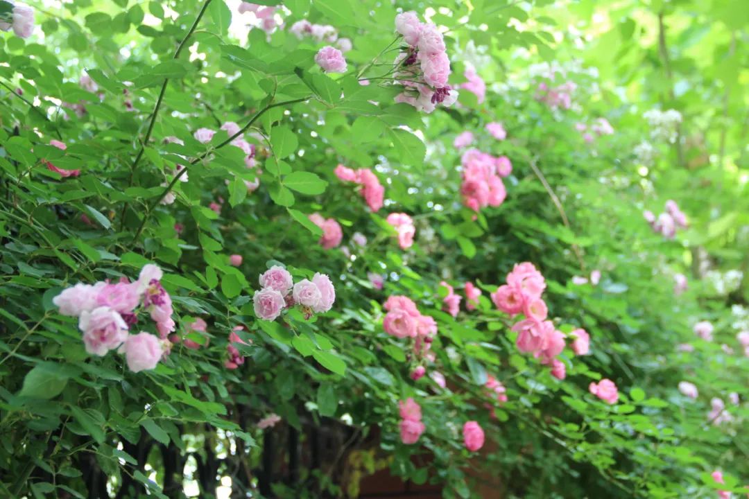 1739864536461030.jpg 640.jpg