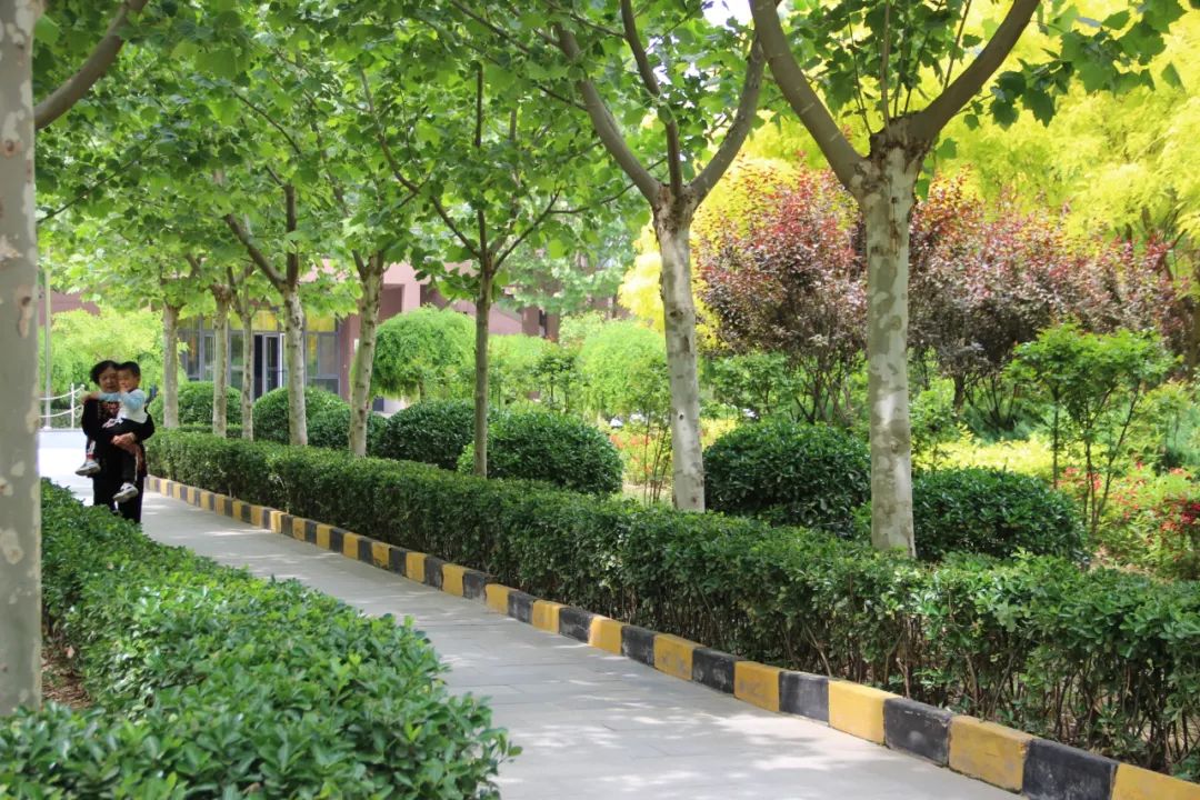 1739864543813655.jpg 640 (2).jpg