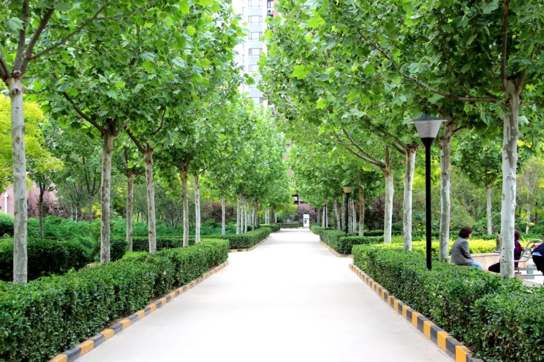 1739864550676249.jpg 640 (1).jpg