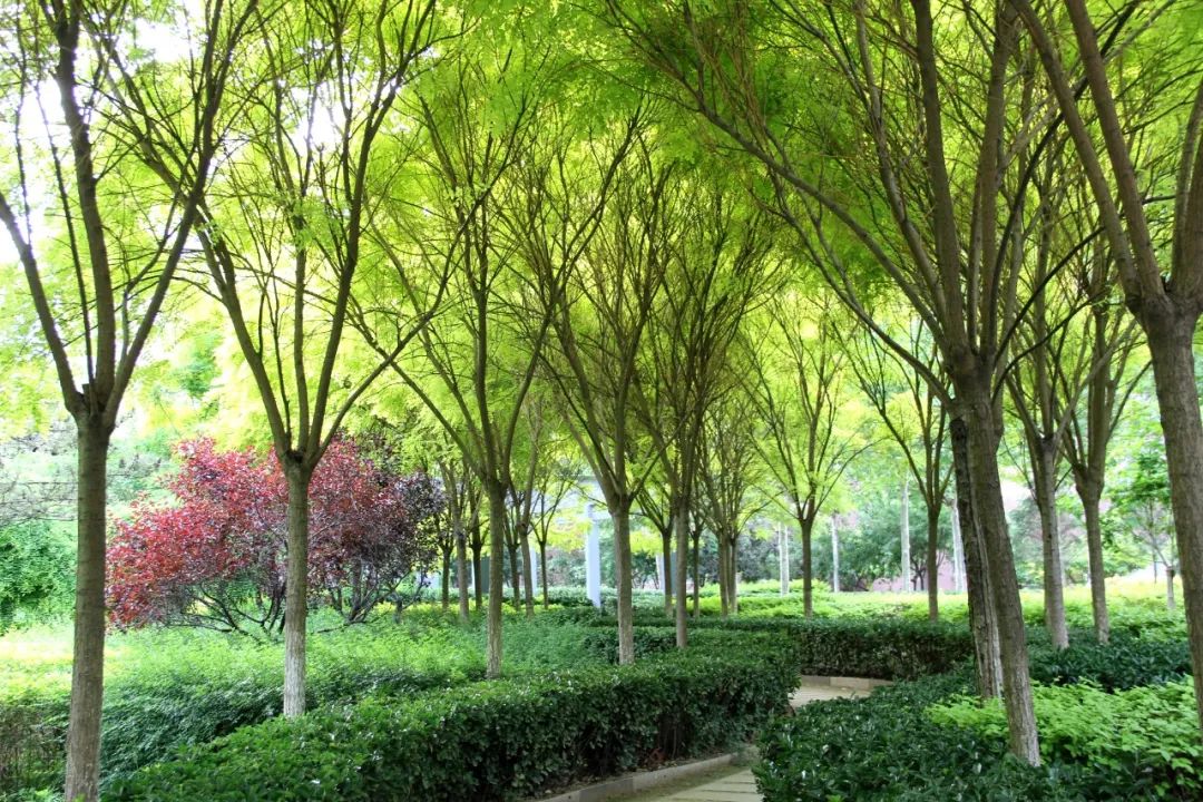 1739864639396492.jpg 640 (3).jpg