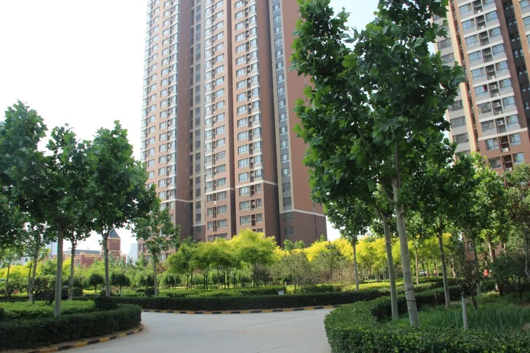 1739864861708745.jpg 640.jpg