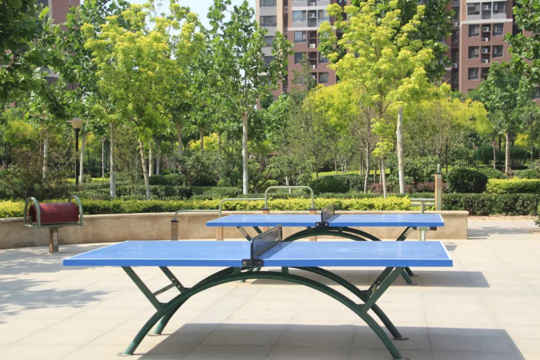 1739864876352055.jpg 640 (1).jpg