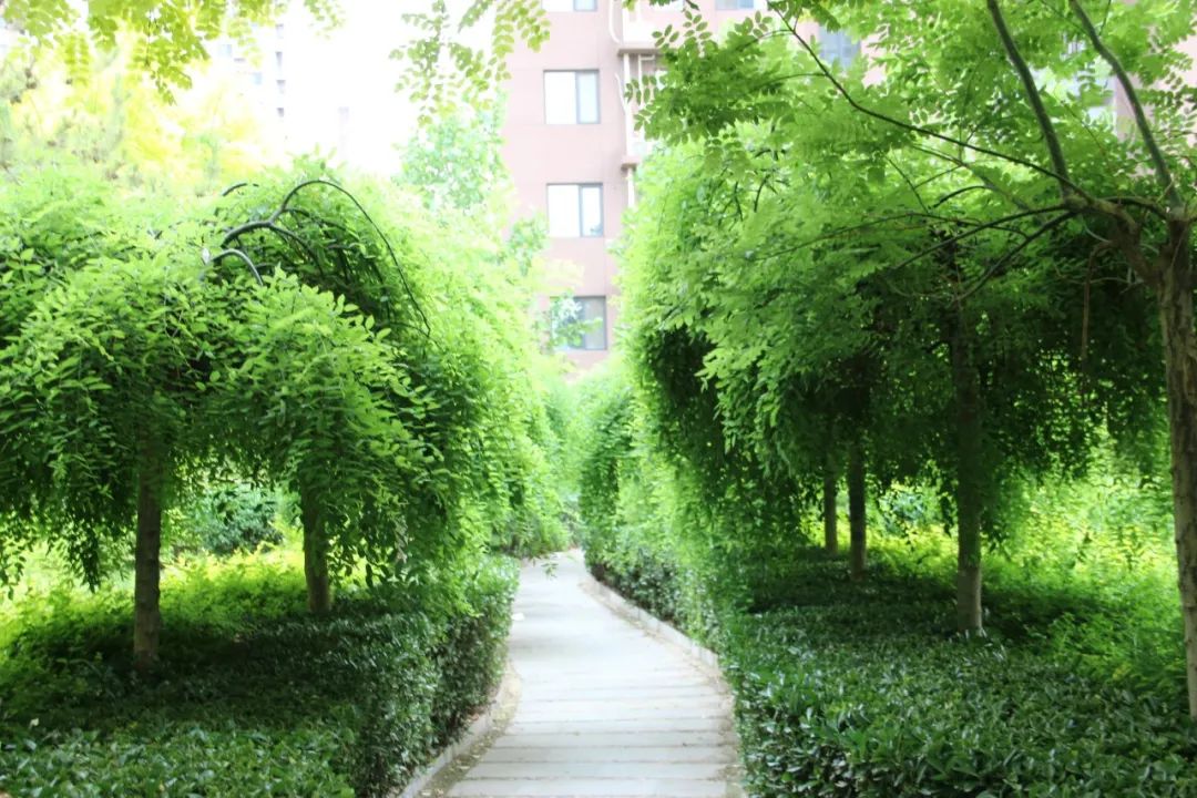 1739864929247654.jpg 640 (4).jpg