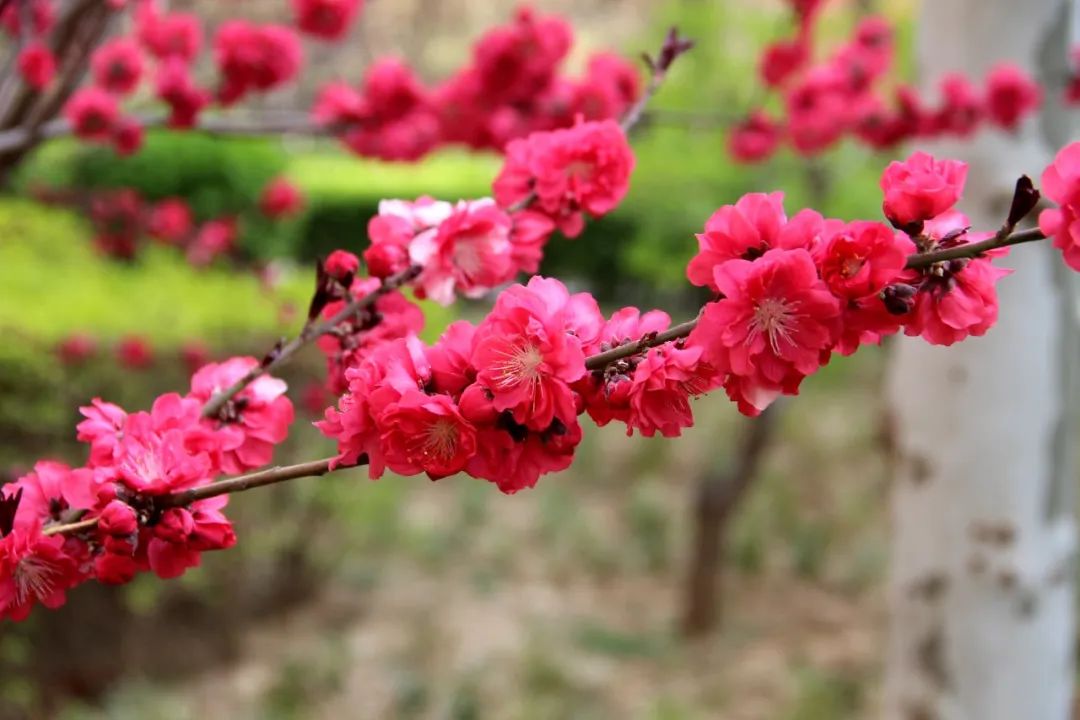 1739864962590273.jpg 640 (6).jpg